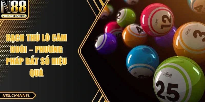 Bạch Thủ Lô Câm Đuôi – Phương Pháp Bắt Số Hiệu Quả