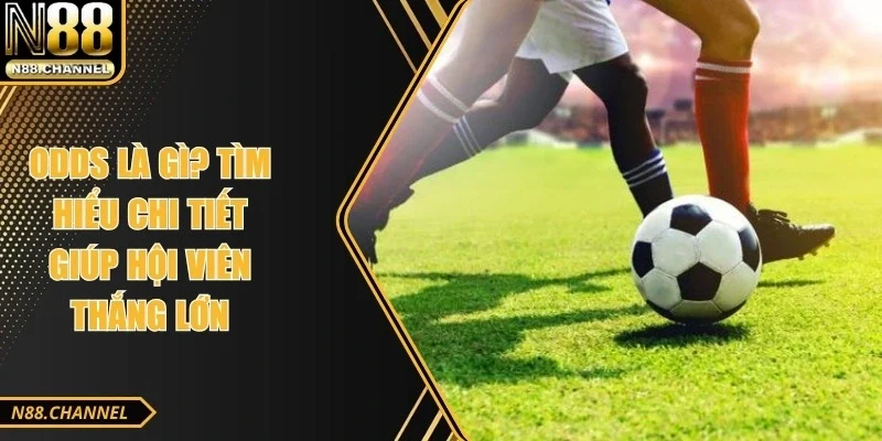 Odds Là Gì? Tìm Hiểu Chi Tiết Giúp Hội Viên Thắng Lớn